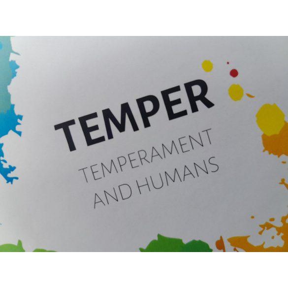 TEMPER DISC-alapú fejlesztő kártyák - angol nyelvű