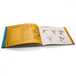 bikablo® 2.0 -Grafikus jegyzetelési útmutató, MEGÚJULT