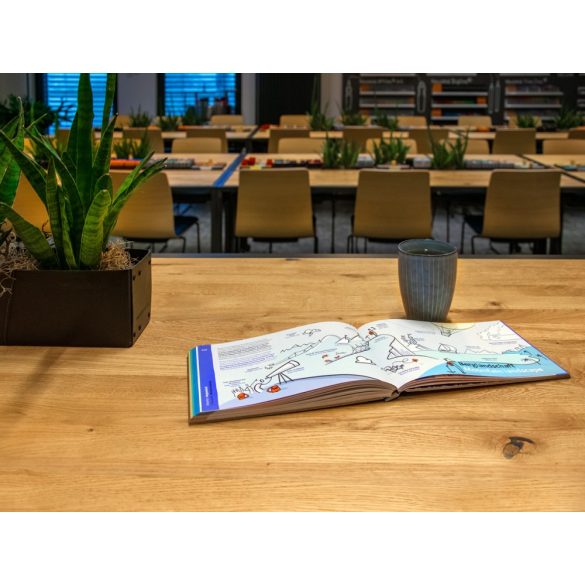 bikablo® posters - könyv