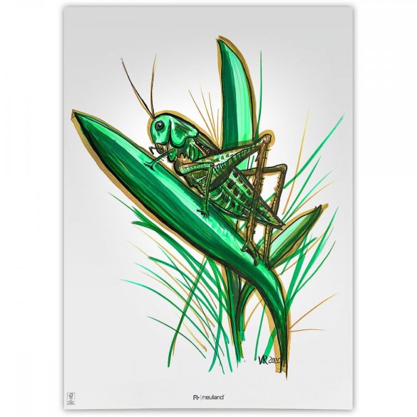 Neuland No.One® Art, brush nib 0,5-7 mm, 5/color sets - Back to Green