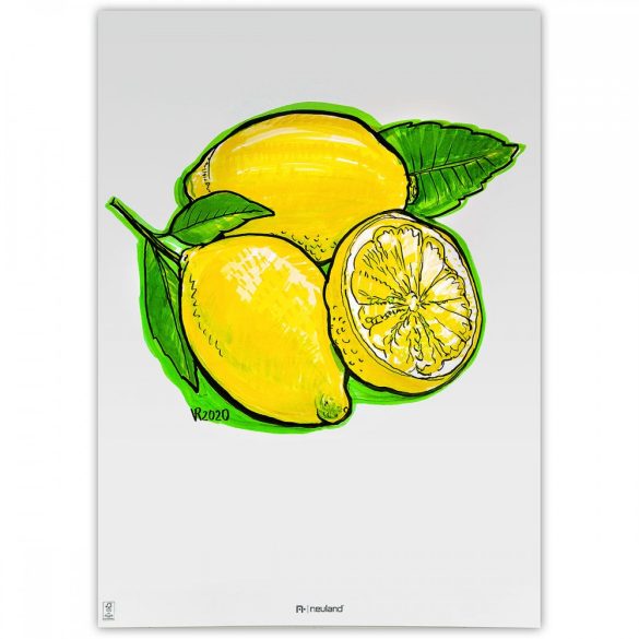 Neuland No.One® Art, ecsethegyű 0,5-7 mm, 5 db/készlet - Lemon Tree, 80592591