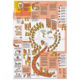 Learning Map No. 1 - Open Space - Hungarian translation