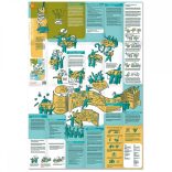 Learning Map No. 2 - World Café