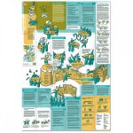 Learning Map No. 2 - World Café - with Hungarion translation