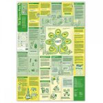 Learning Map No.10 - The Scrum Flow