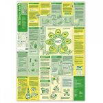Learning Map No.10 - The Scrum Flow
