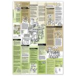 Learning Map No.10 - The Scrum Flow